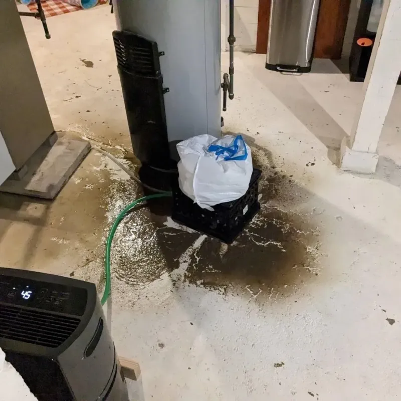 Sewage Backup Cleanup Service in Lucedale, MS